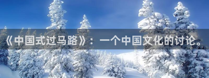 高清午夜大片：《中国式过马路》：一个中国文化的讨论。