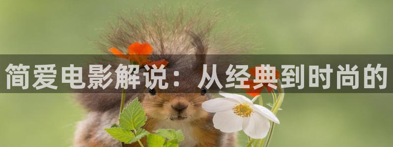 久久久久久国产午夜影院：简爱电影解说：从经典到时尚的