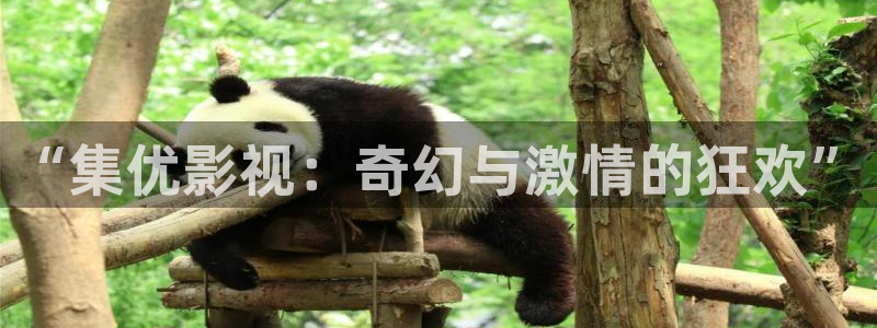 神马第九午夜影院：“集优影视：奇幻与激情的狂欢”
