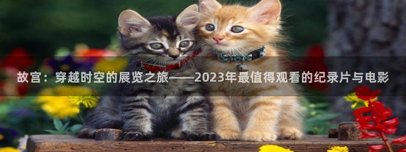 mm131午夜免费观看：故宫：穿越时空的展览之旅——2023年最值得观看的纪录片与电影