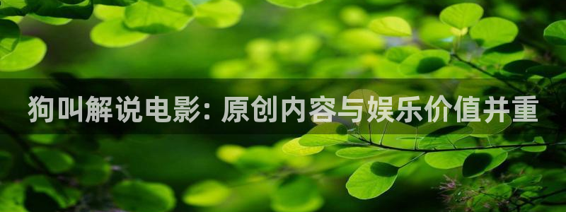 a毛片午夜：狗叫解说电影: 原创内容与娱乐价值并重