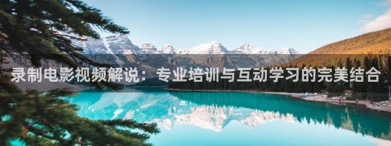 欧美视频午夜在线：录制电影视频解说：专业培训与互动学习的完美结合